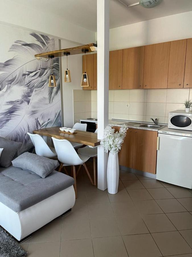 Apartman Lukic Banja Koviljaca Luaran gambar
