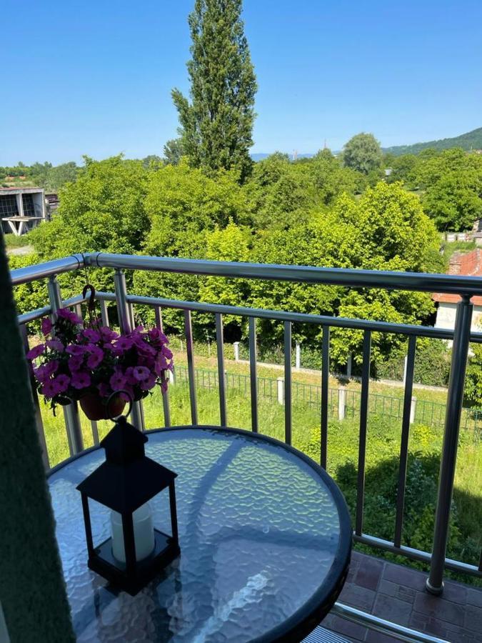 Apartman Lukic Banja Koviljaca Luaran gambar